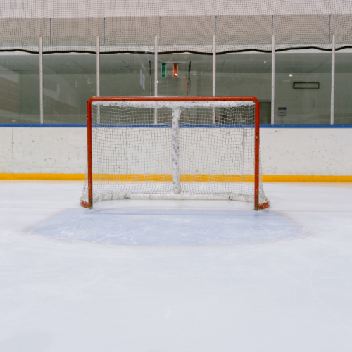 nhl hockey net