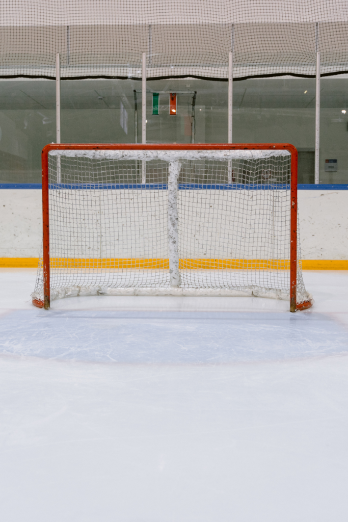 nhl hockey net