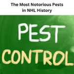 hockey history, the most notorious pests in nhl history