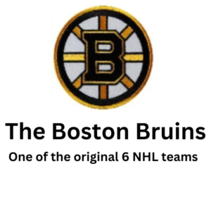boston bruins, one of the original 6 NHL teams