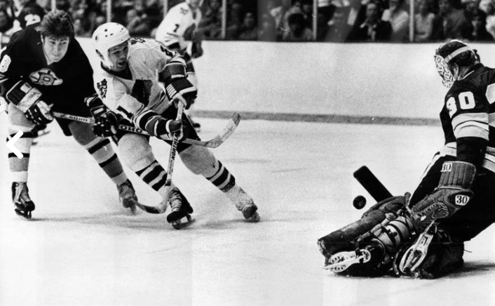 Stan Mikita - NHL Hockey Legend