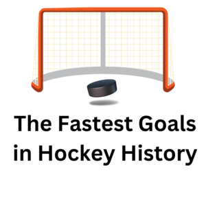 The fastest goals in hockey history