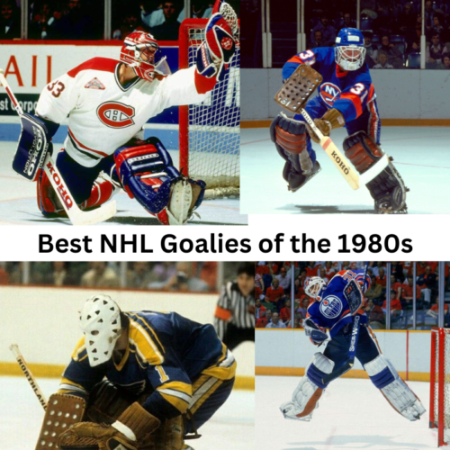 The best NHL goalies